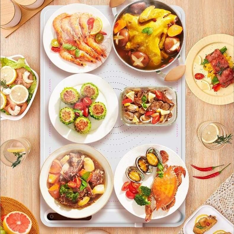 Quick Heat Foldable Food Warmer with Adjustable Temperature